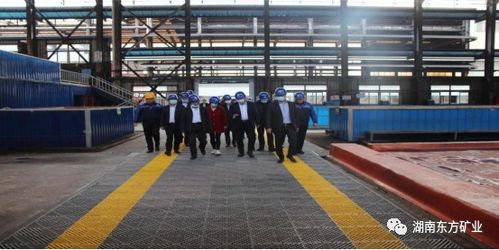 全國電解金屬錳創新聯盟成員單位參觀湖南東方礦業，共探金屬礦批發新機遇